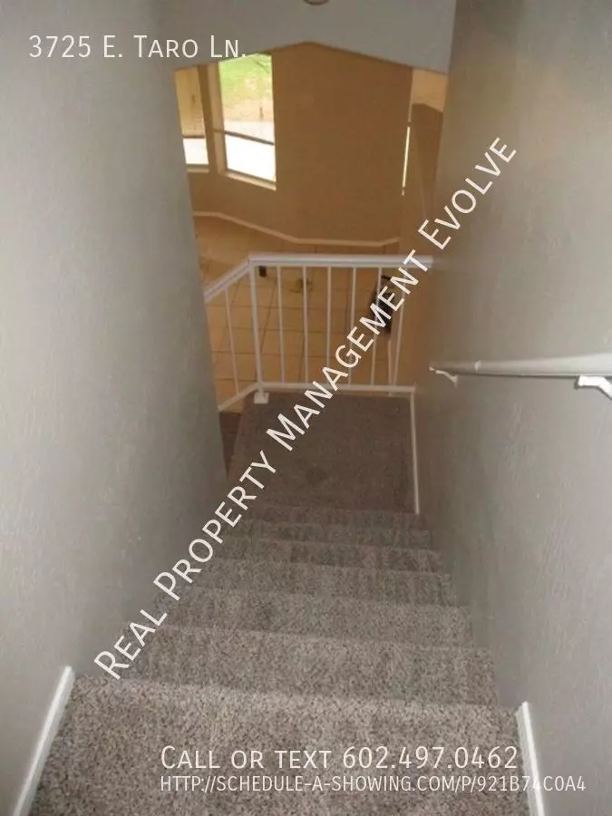 3725 E Taro Ln photo 5