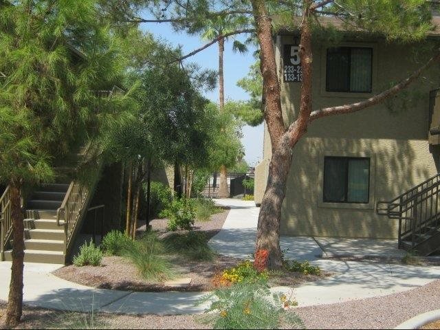North 17 photo 4