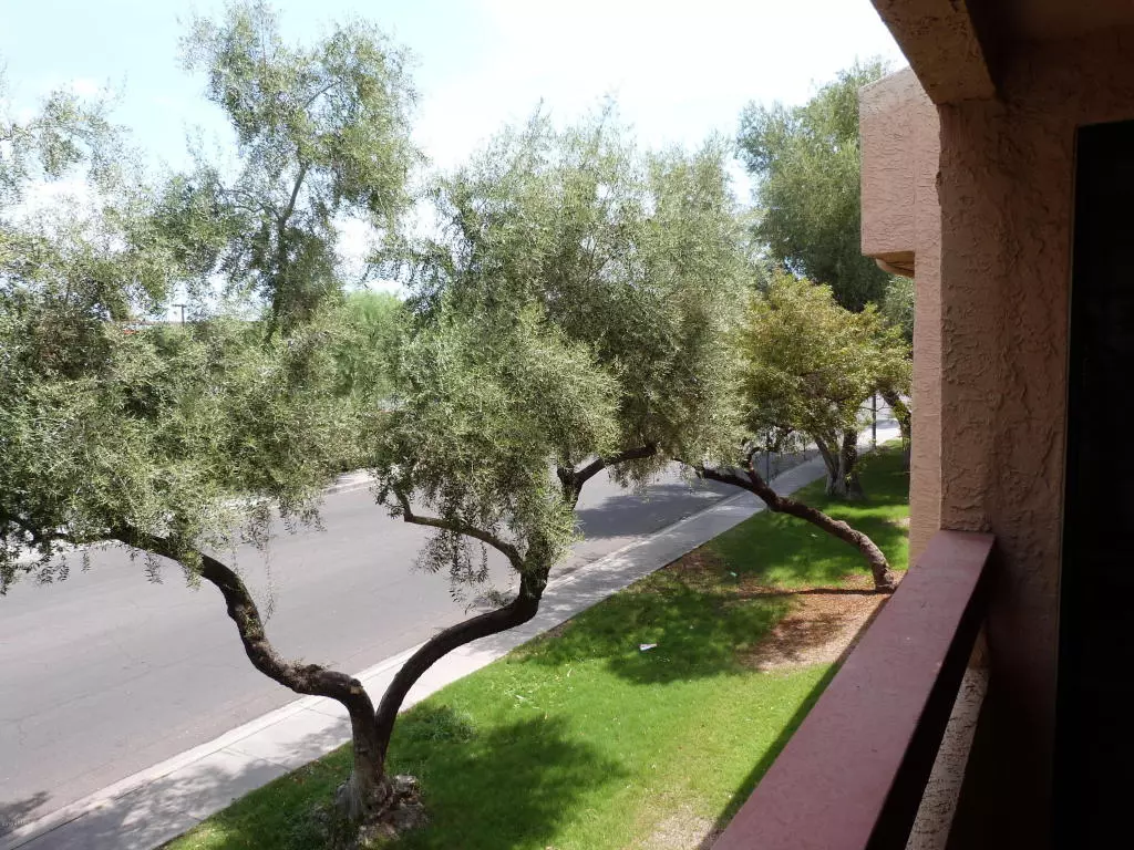 Upgraded One Bedroom- Will Go Fast! 2nd Floor Unit With Washer And Dryer!!! No Neighbors Directly Behind Balcony So Private. photo 4