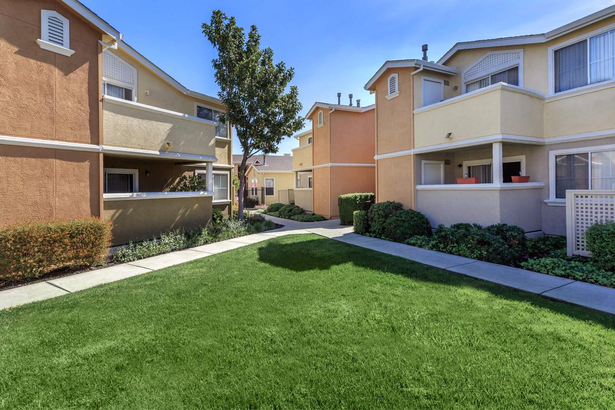 Cornerstone Apartments photo 3