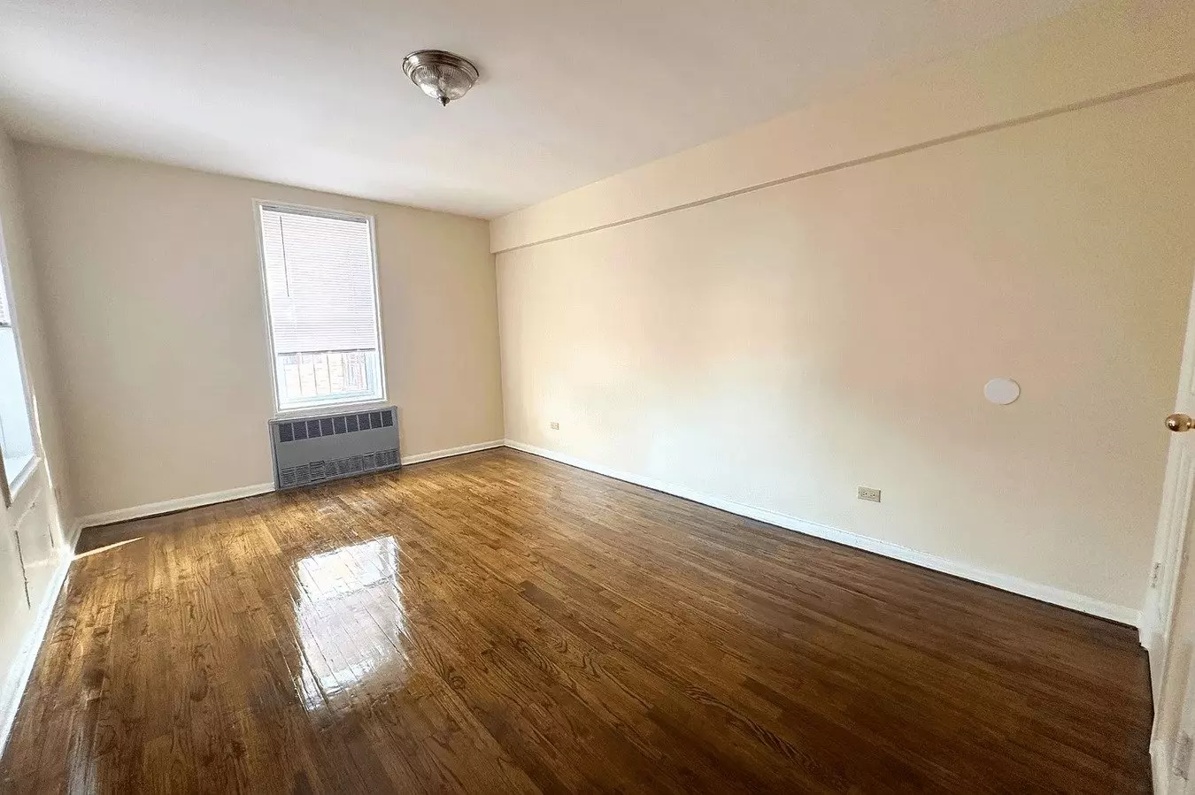 140-60 Beech Avenue photo 3