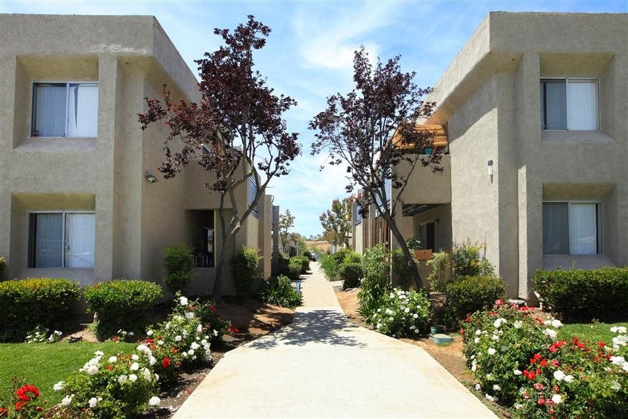 Ramona Village photo 5