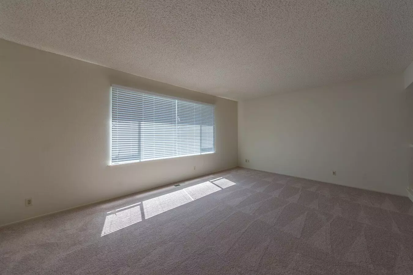 Wonderful 3 Bed 2 Bath Single Family Home Located In Redwood City photo 2