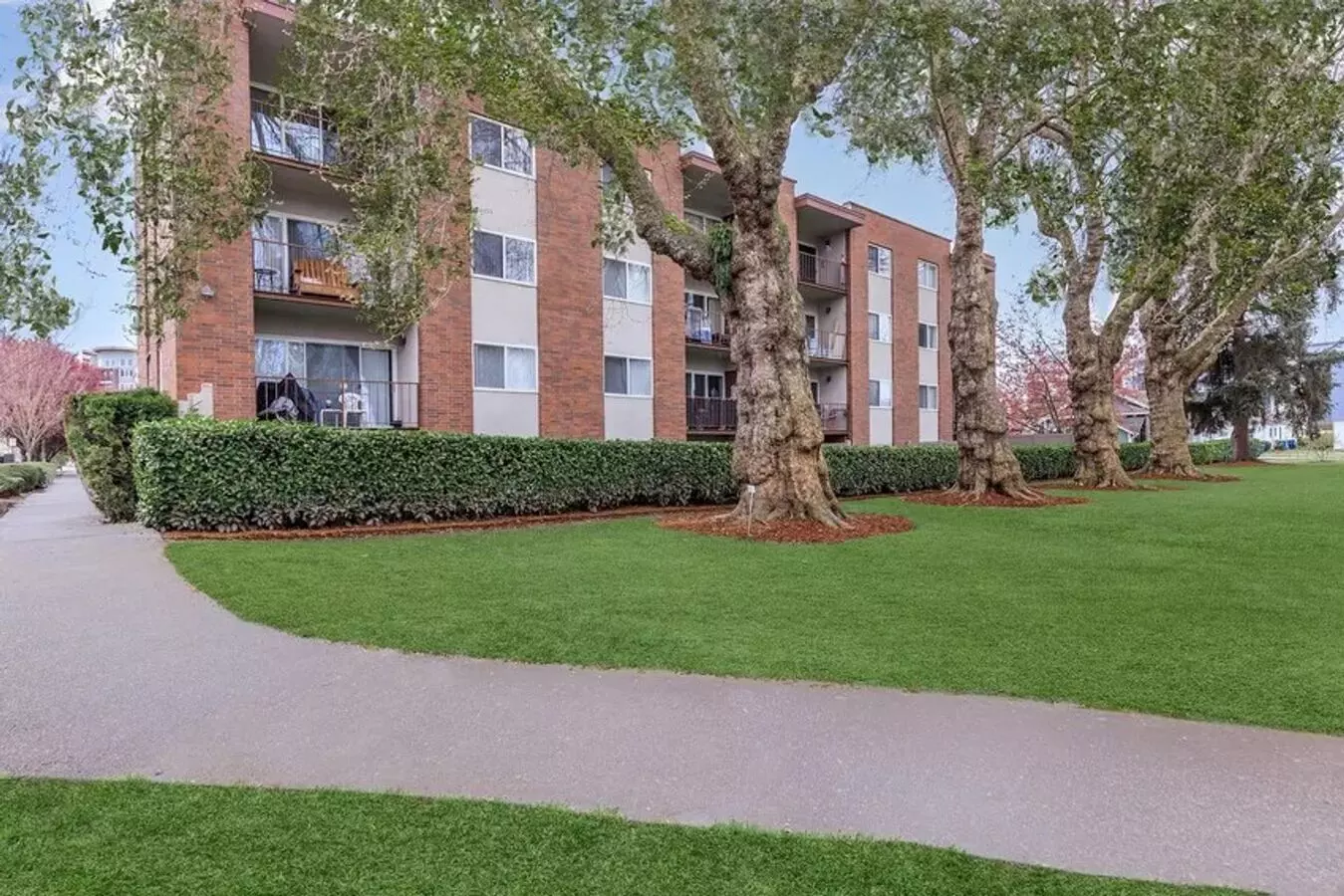 Riverview Apartments photo 4