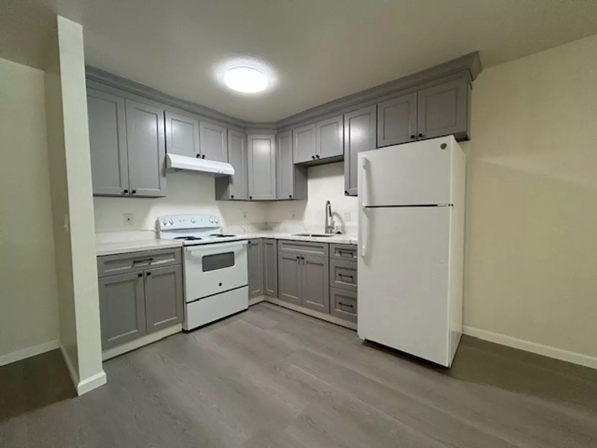 Spacious One Bedroom, large living room area photo 4