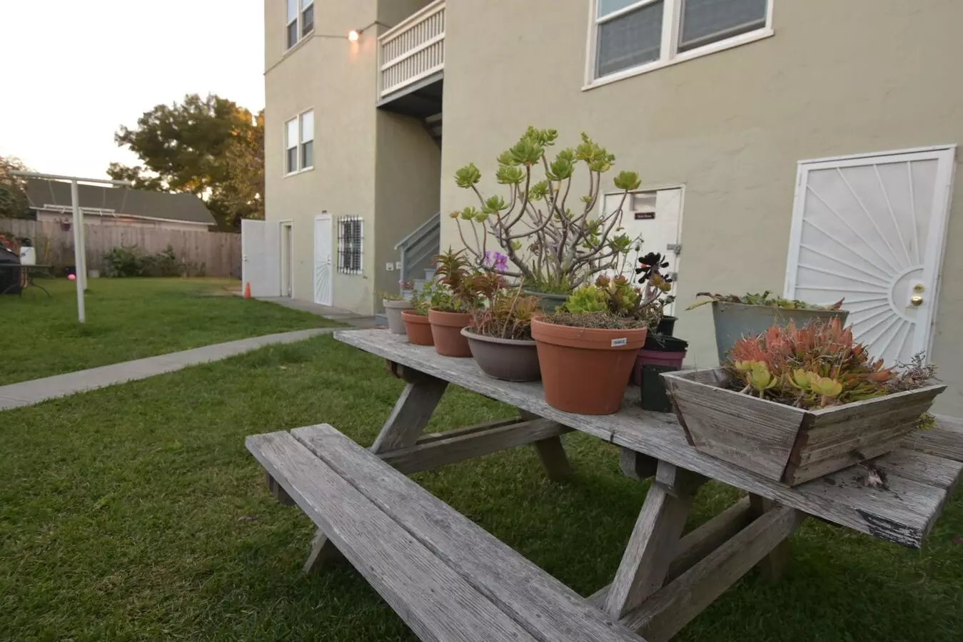 The Patricia Apartments photo 5
