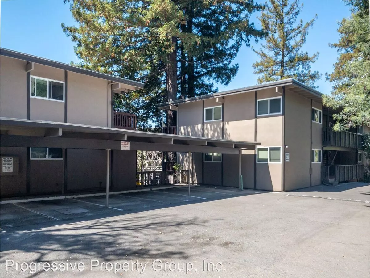 Pine Lane Apartments photo 2