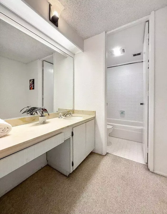5315 Shelter Creek Ln photo 3