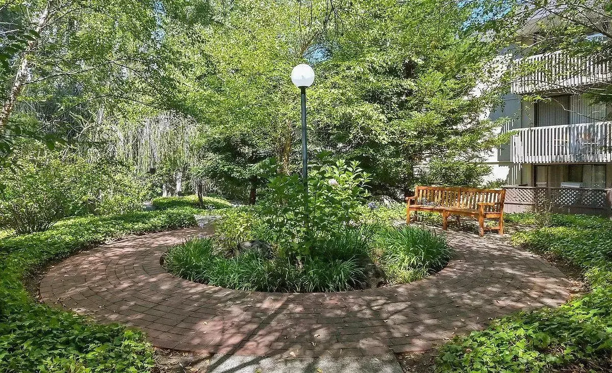 5315 Shelter Creek Ln photo 4