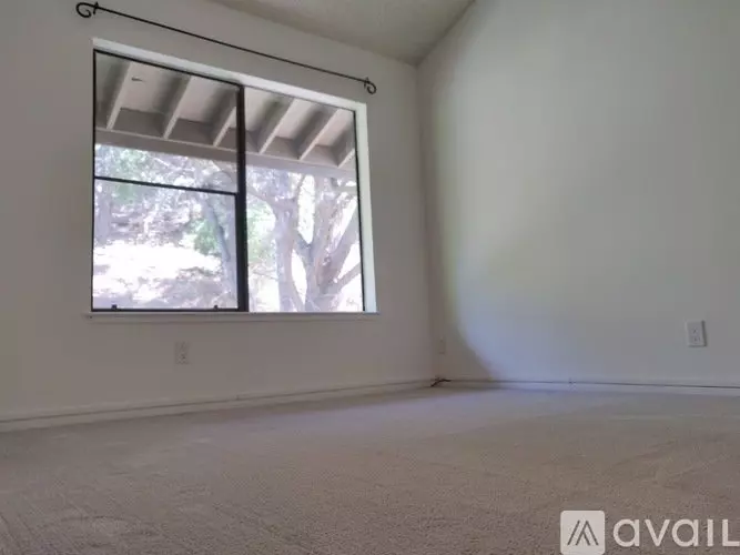 3392 Brittan Avenue, San Carlos, CA 94070 photo 5