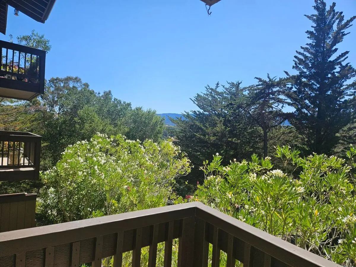 Rarely Available 2 Bedroom 2 Bathroom Brittan Heights Condo photo 3