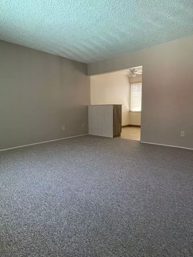 2926-40 Juniper Street photo 5