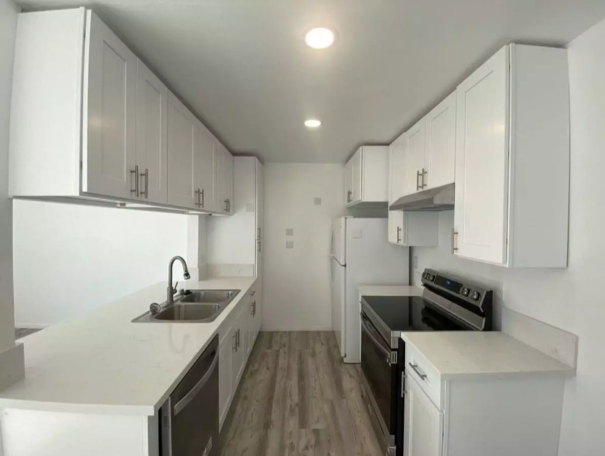 Beautifully Upgraded Upstairs 1 Bedroom Apartment For Rent! photo 3