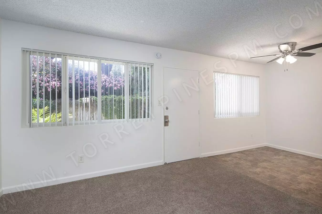 4853 Orchard Ave San Diego, CA 92107 photo 5
