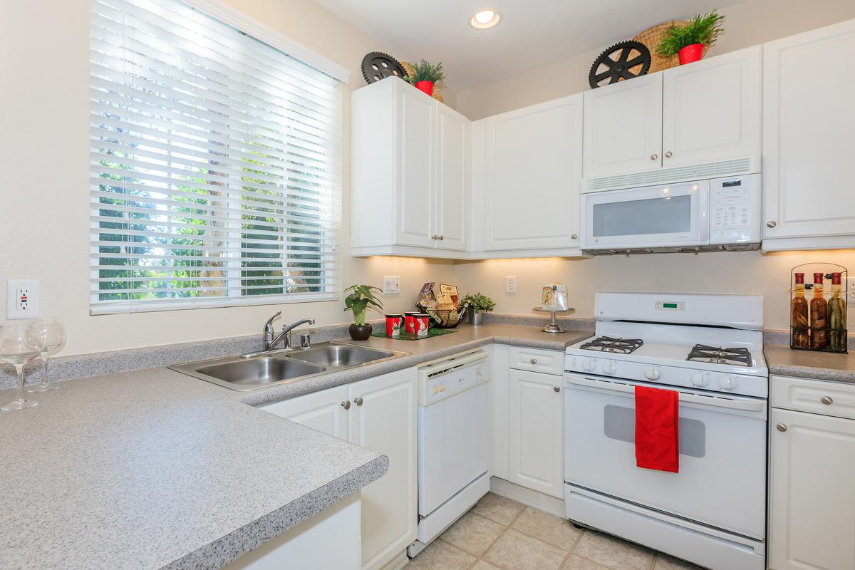 Evening Creek photo 4