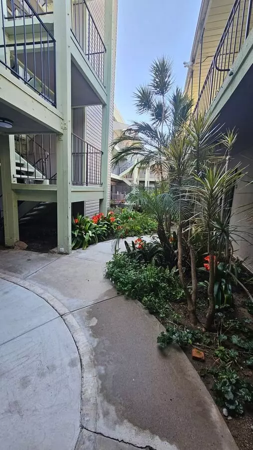 Redwood Terrace photo 3