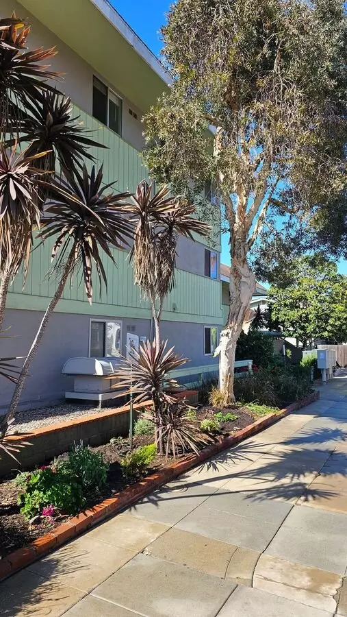 Redwood Terrace photo 4