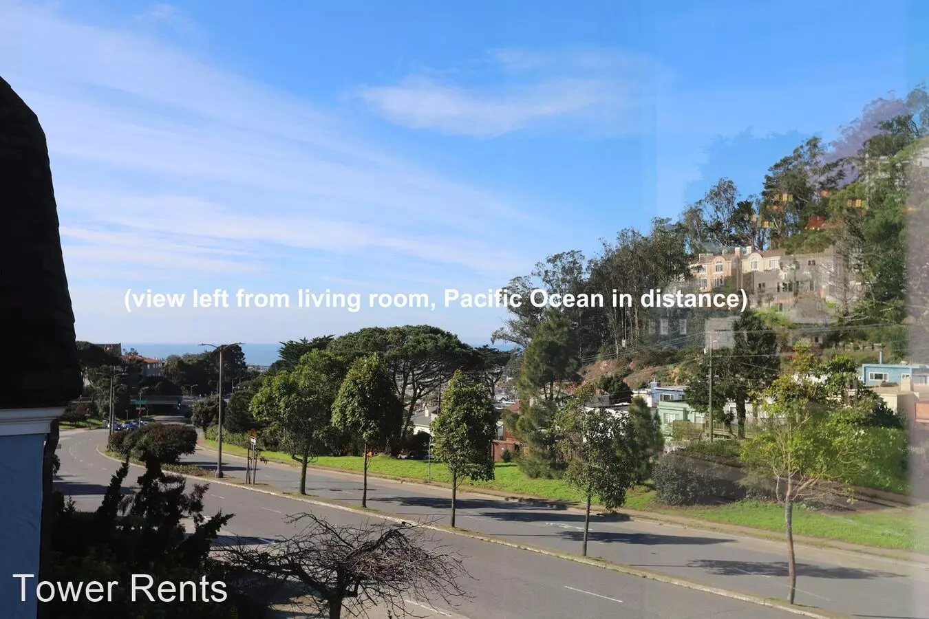 Miraloma Park: Spacious Single Family Home w/Garage  Yard photo 4