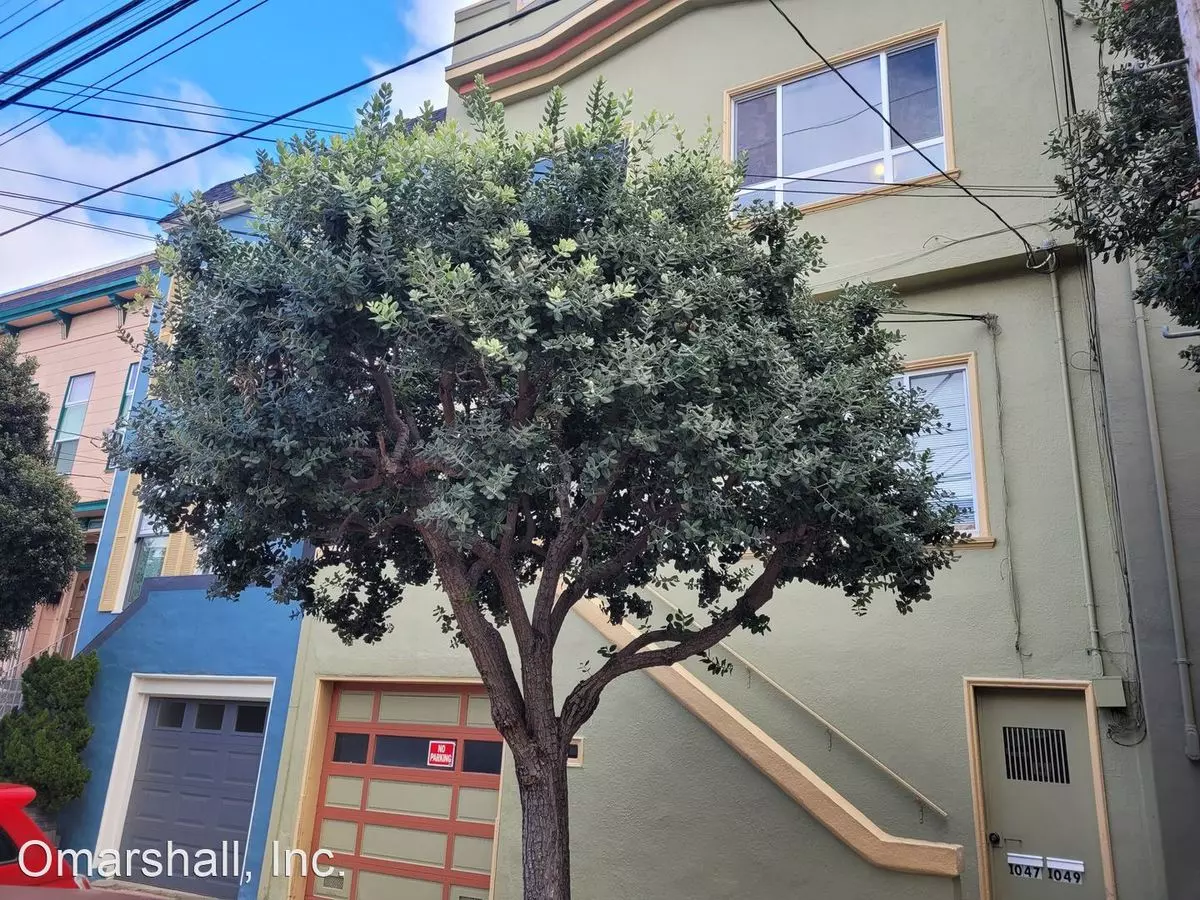 1047 York Street, San Francisco, CA 94110 photo 4