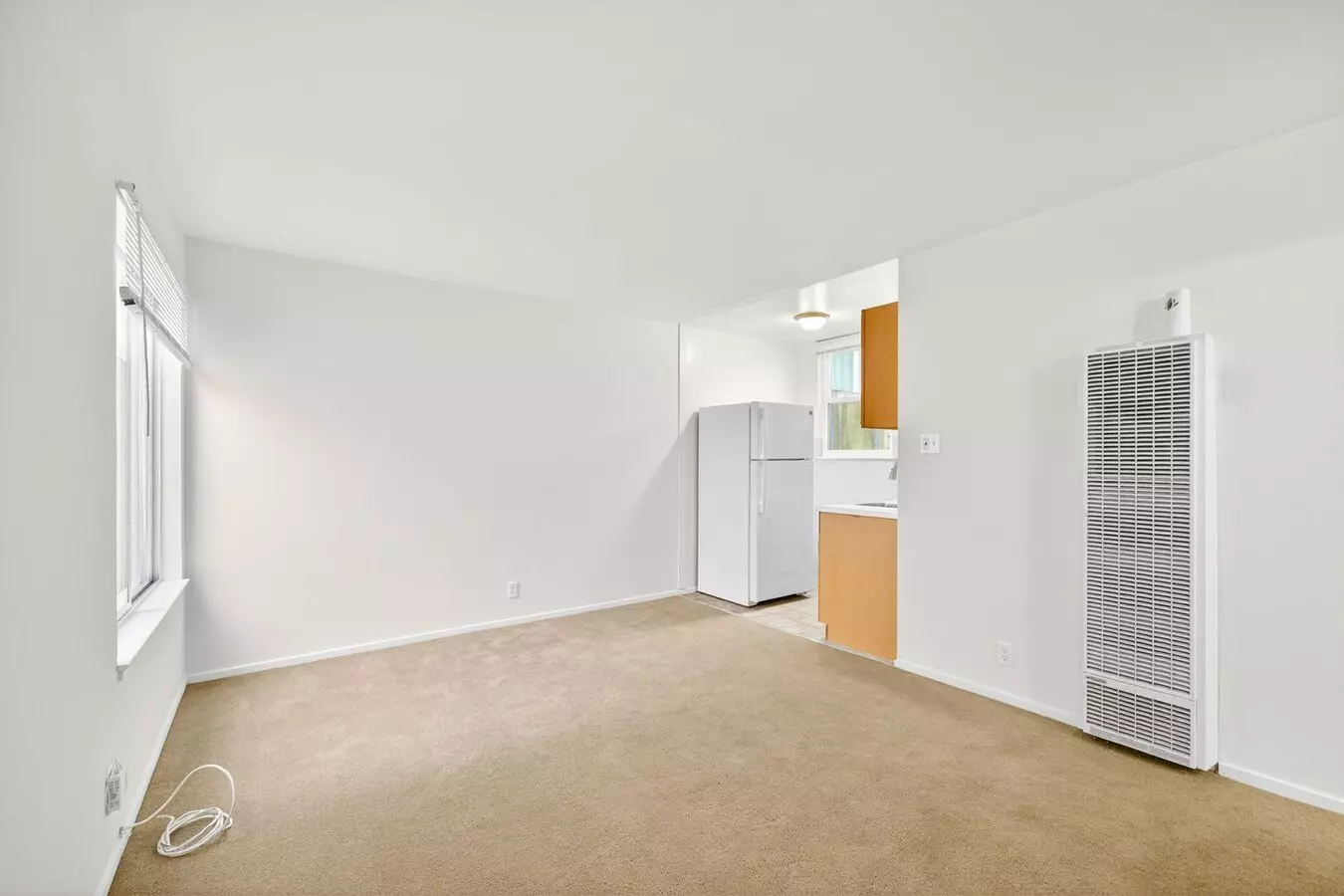 1255 8th Avenue (437r) photo 4