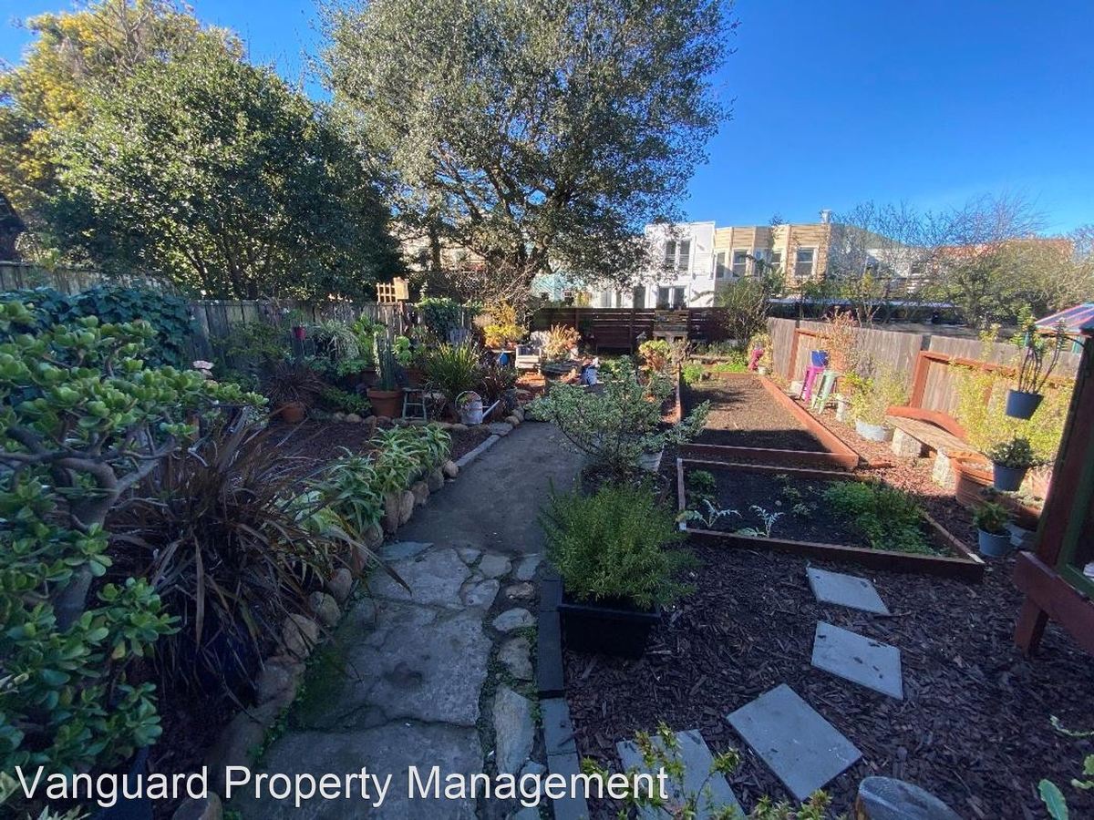 1351-1353 5th Avenue, San Francisco, CA 94122 photo 3