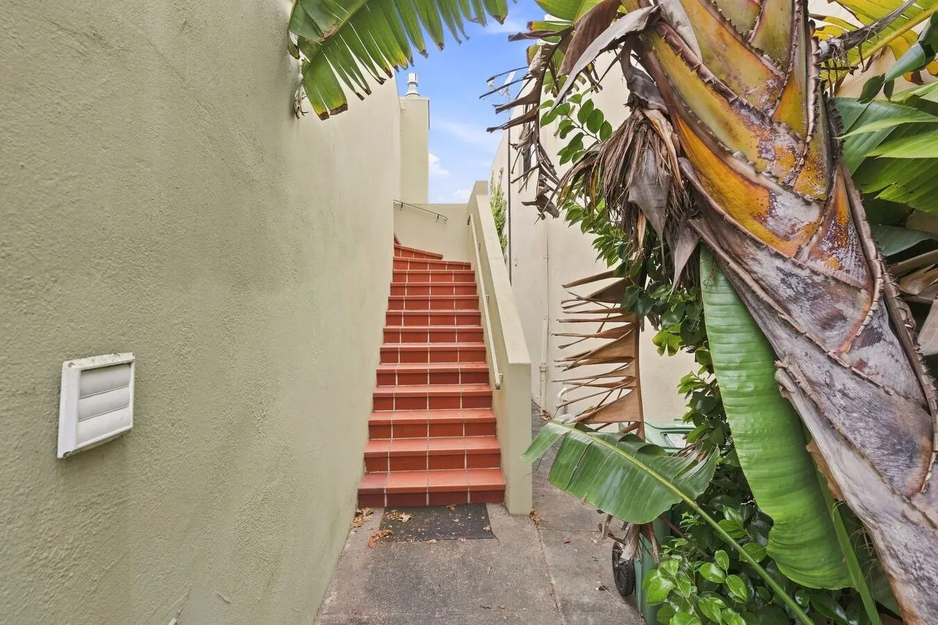 167 Skyview Way photo 5