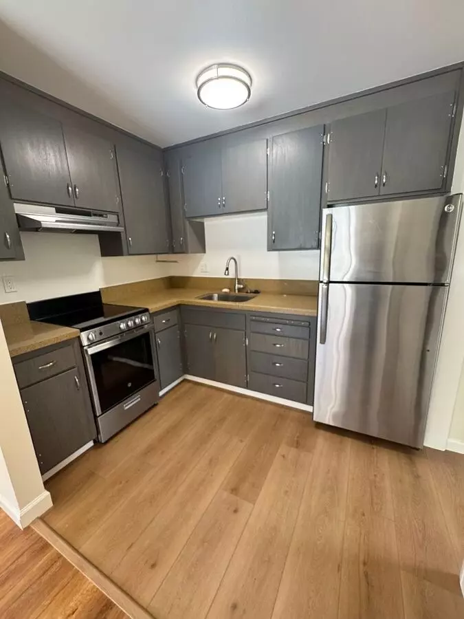 442 Elizabeth Street (741r) photo 2