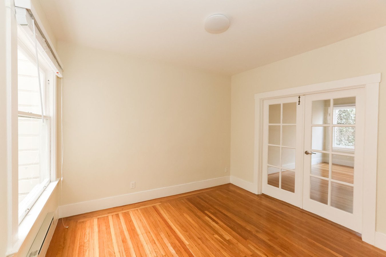 520 Scott photo 2
