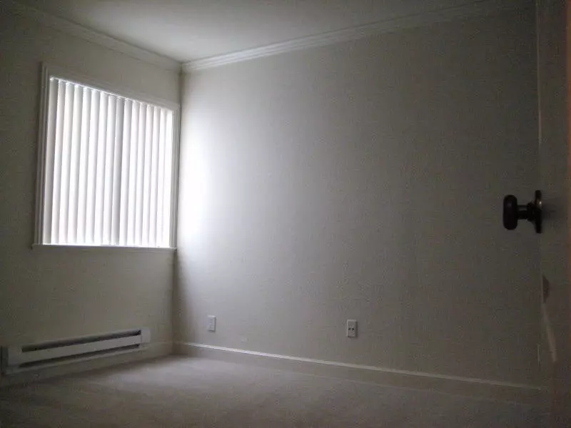 923 Eddy photo 4
