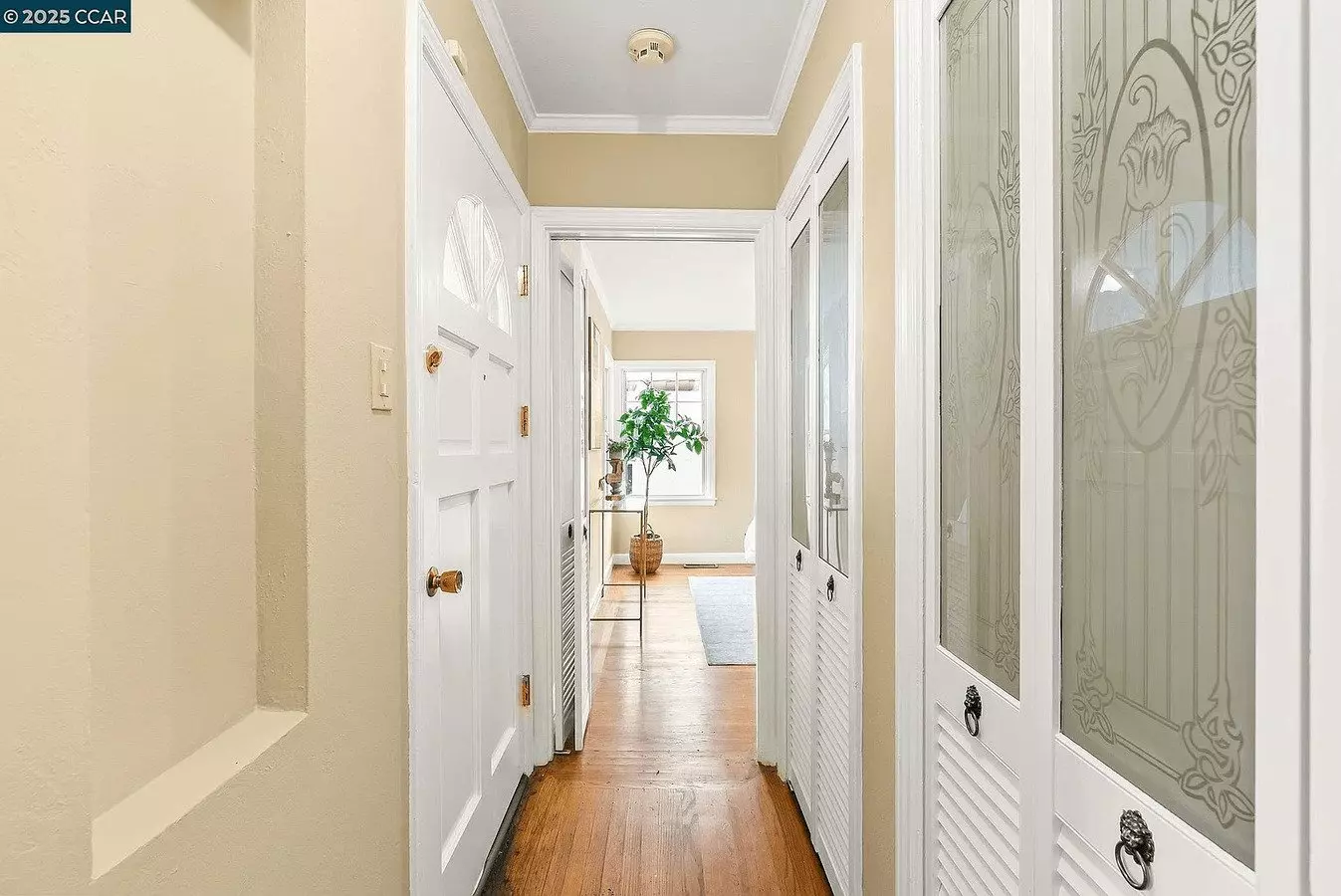 484 Faxon Ave photo 4