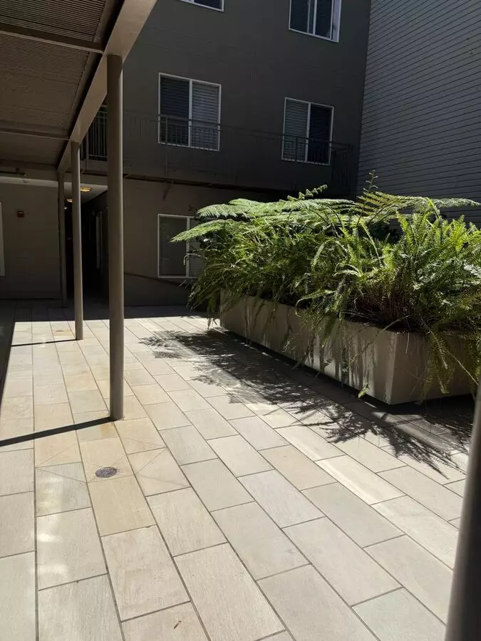 Quiet Rear-unit In The Mission — Private Terrace, Garage, Roof Deck photo 5