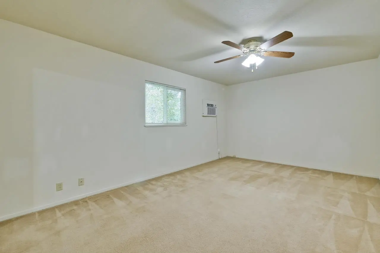 1230 Pedro St photo 4