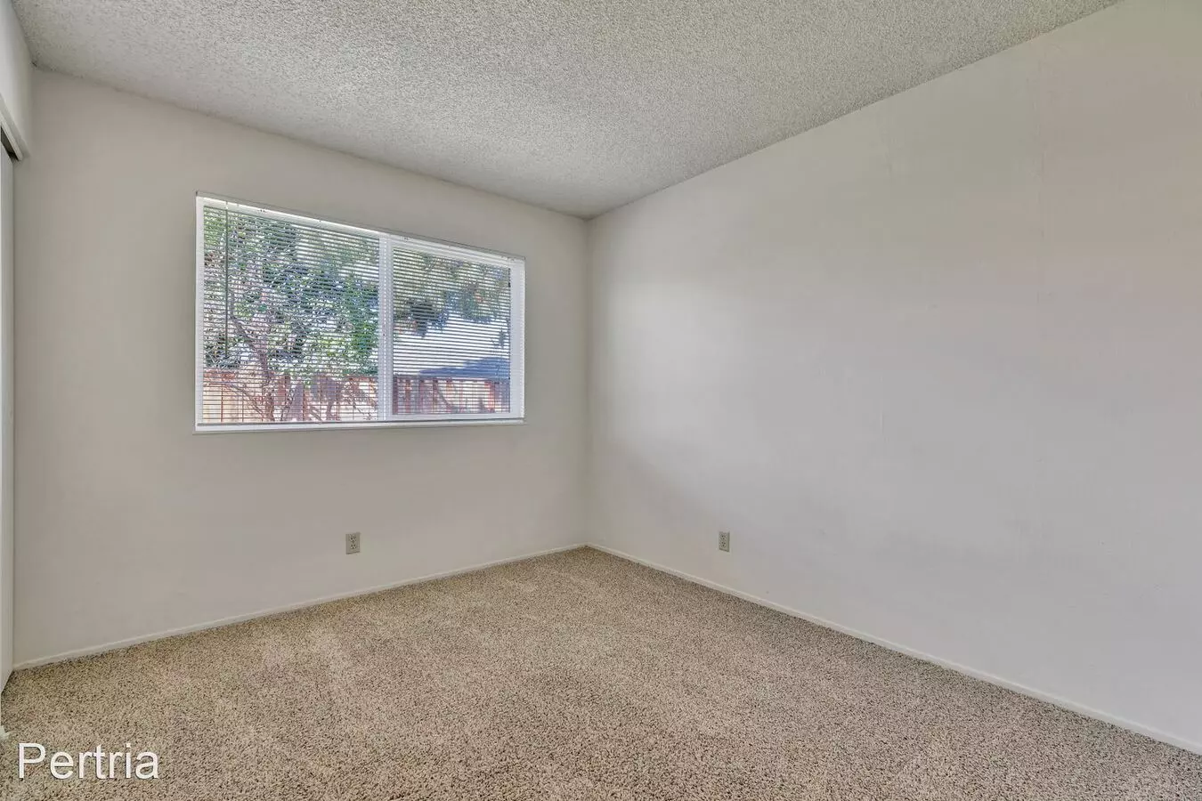 1687 Goldentree Drive, San Jose, CA 95131 photo 5