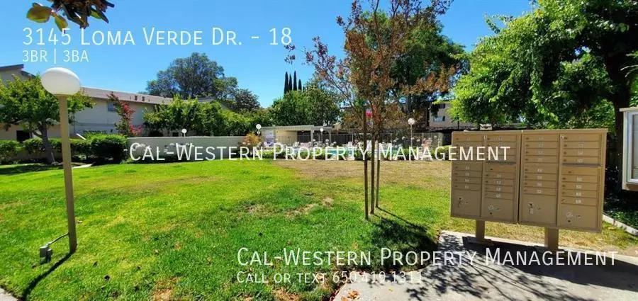 3145 Loma Verde Drive, San Jose, CA 95117 photo 4