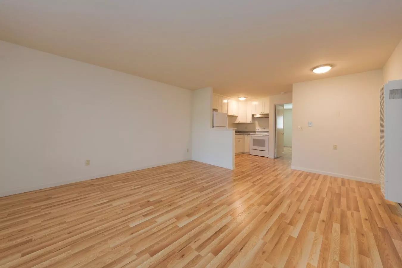 3780 Moorpark Avenue, San Jose, CA 95117 photo 2