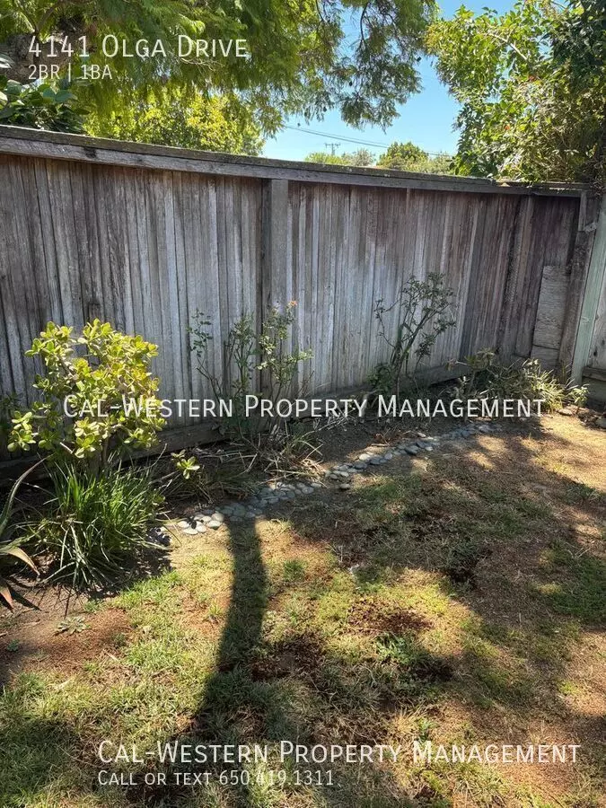 4141 Olga Dr photo 4