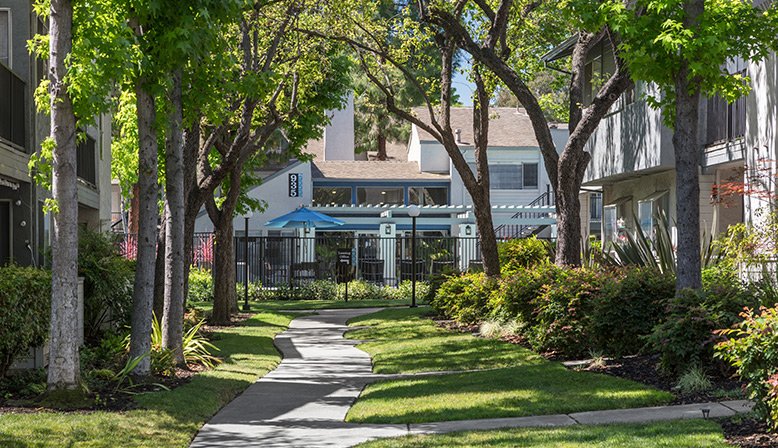 Willow Creek photo 4