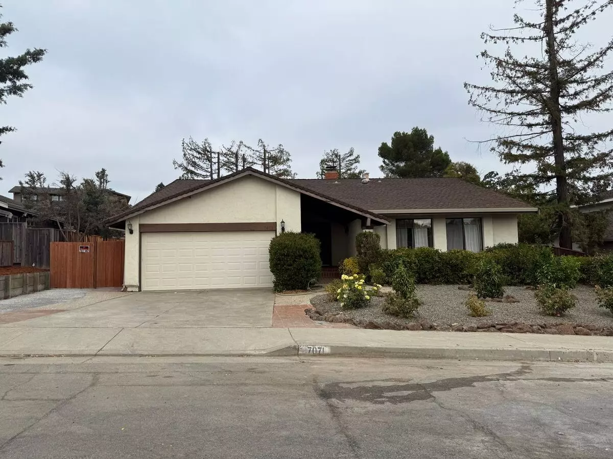 Martwood Way 7071 photo 2