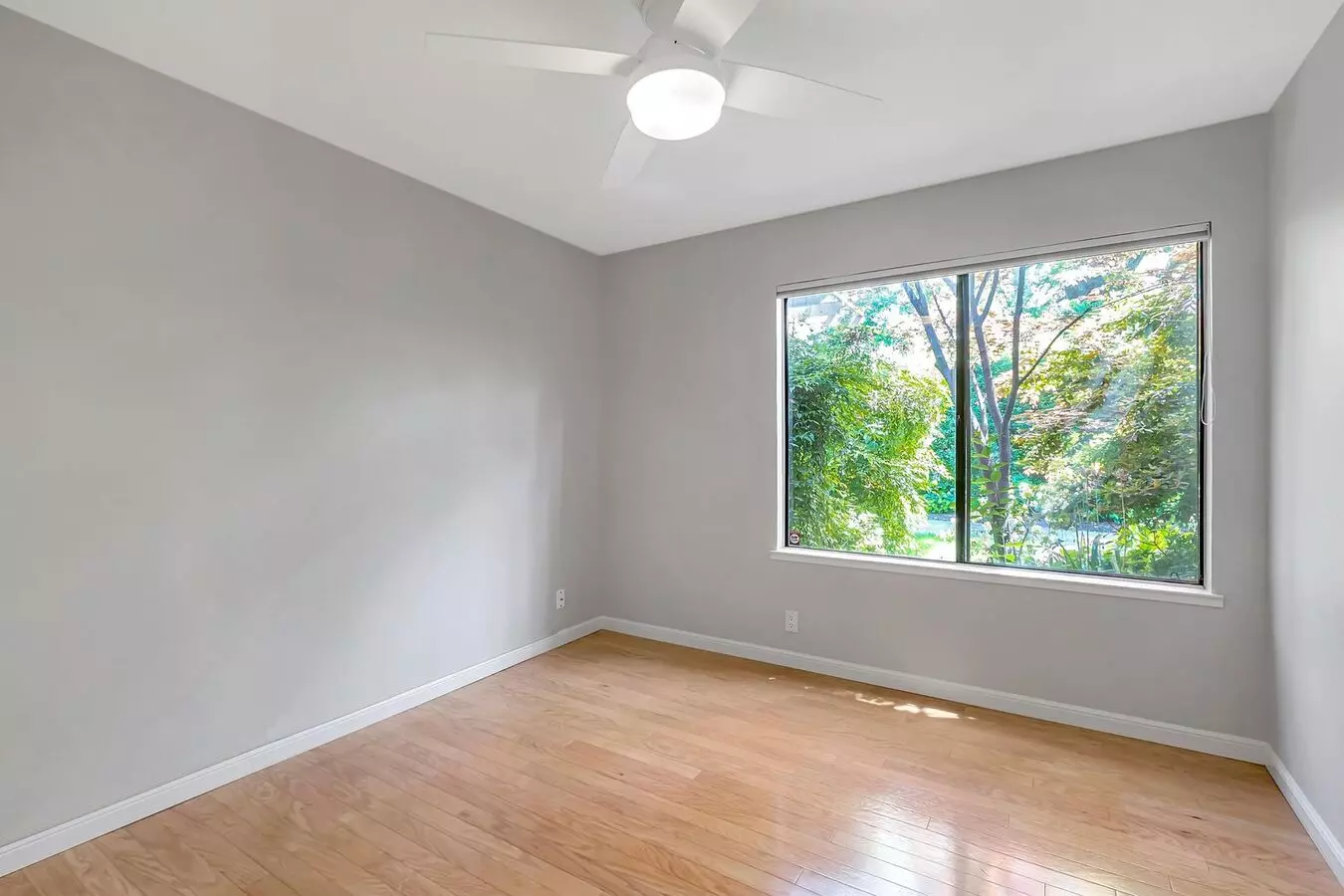 Spacious Willow Glen Home With Two Private Patios! photo 4