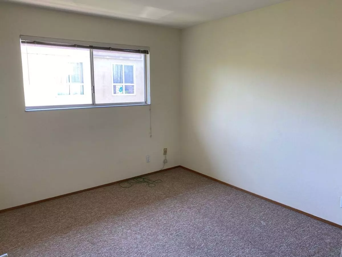 Juana Ave-475 photo 3