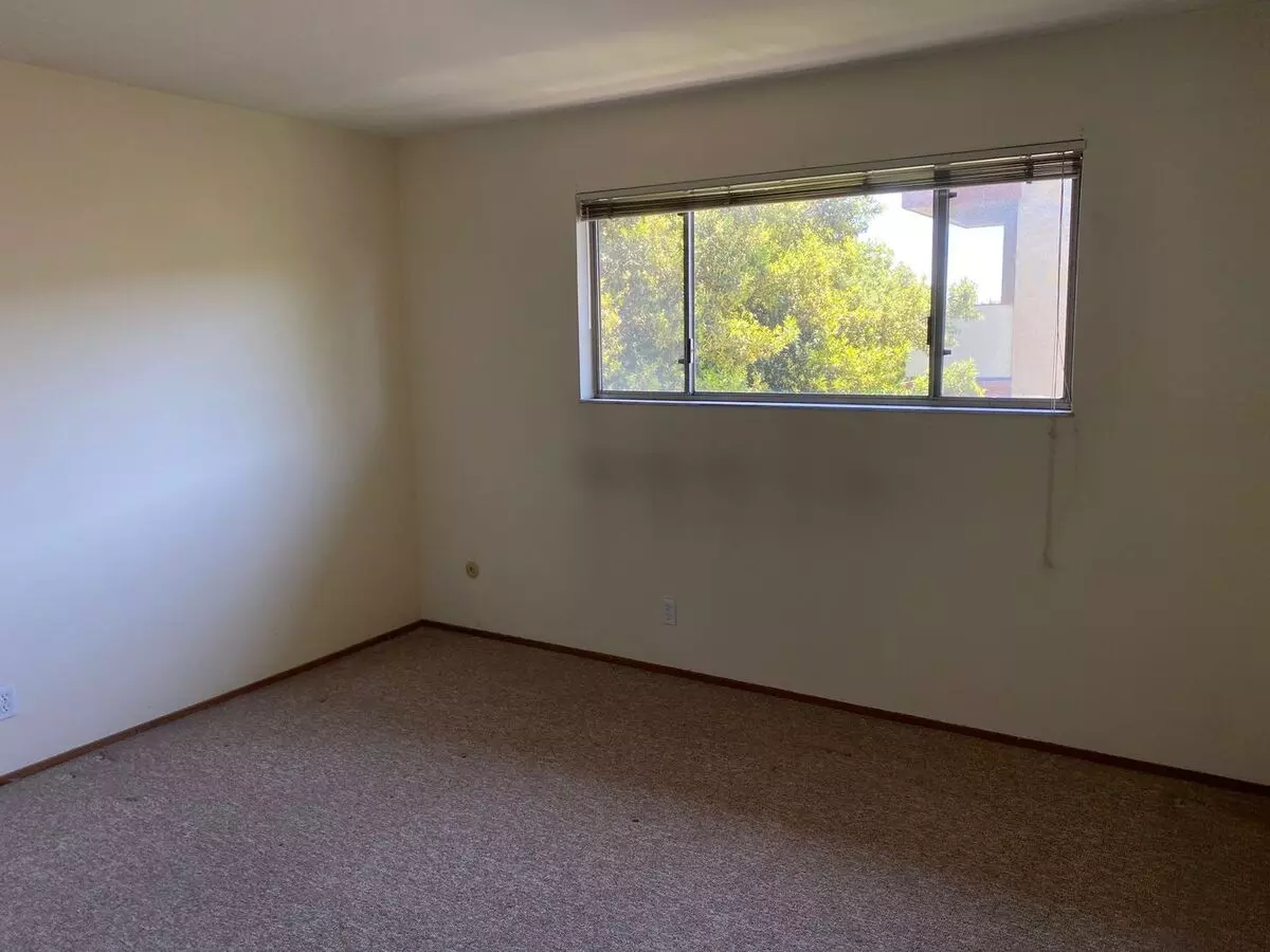 Juana Ave-475 photo 5