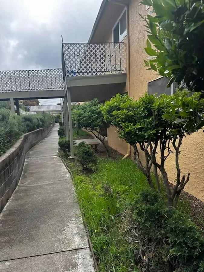 Amber Terrace photo 3