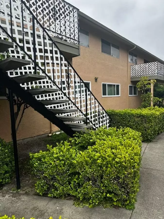 Amber Terrace photo 4