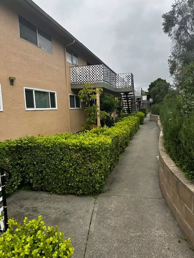 Amber Terrace photo 5