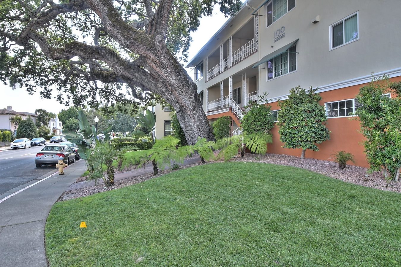 Dartmouth Oaks photo 3