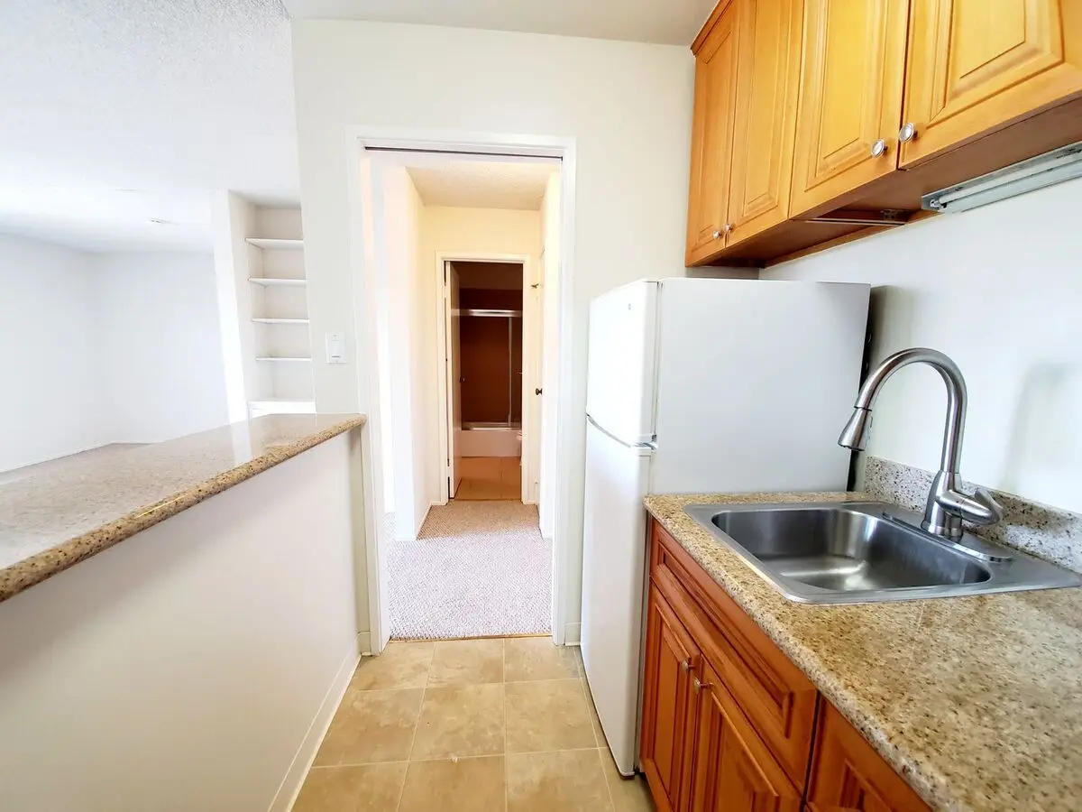 815 N Humboldt St CHA02 photo 4