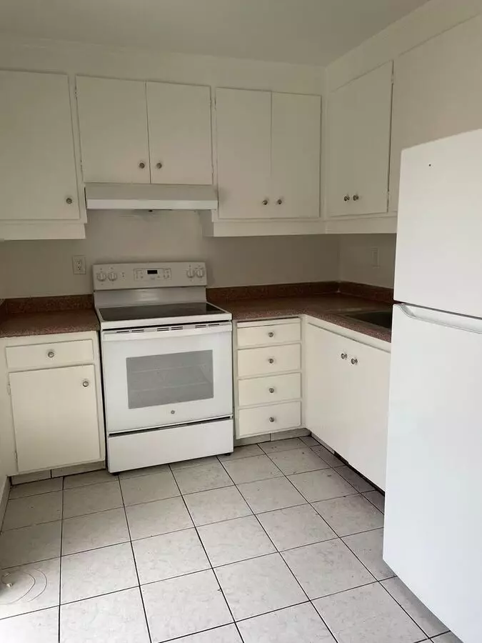 Mv167 photo 2