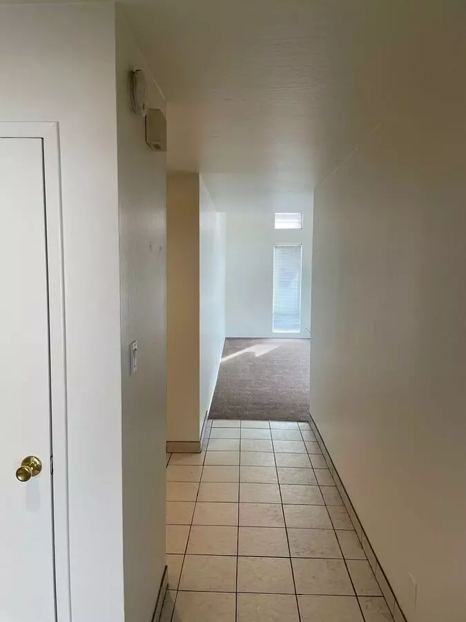 Mv167 photo 3
