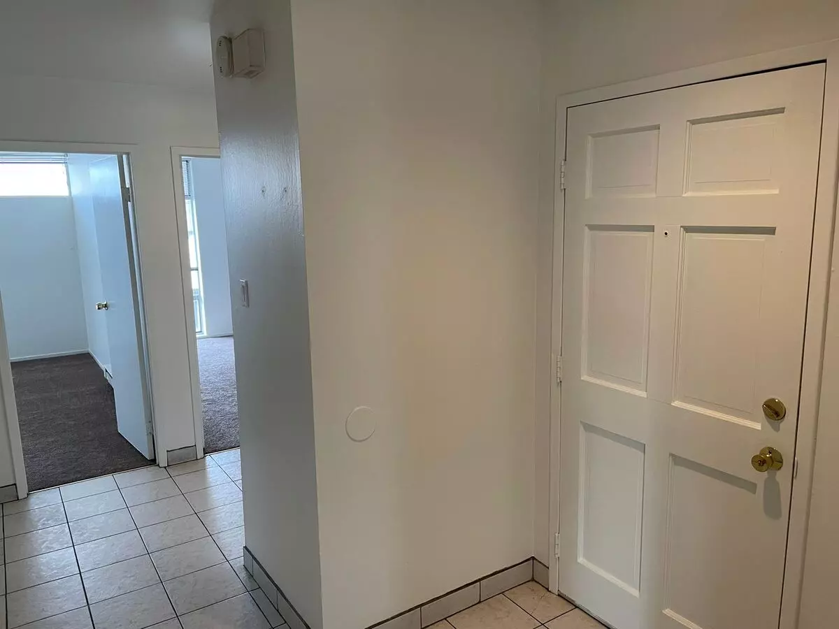 Mv167 photo 4