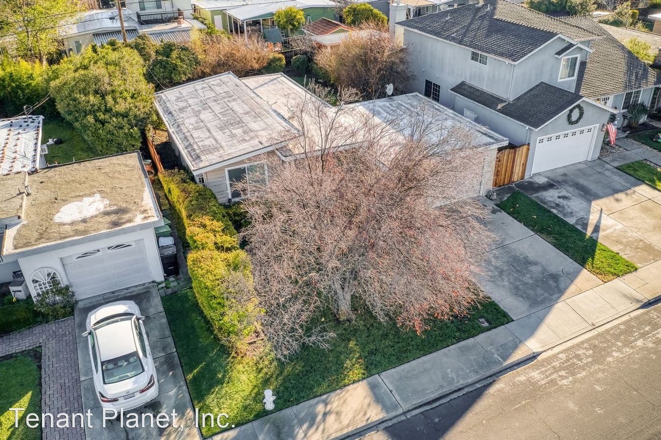 Lovely Home for Rent in Santa Clara photo 3